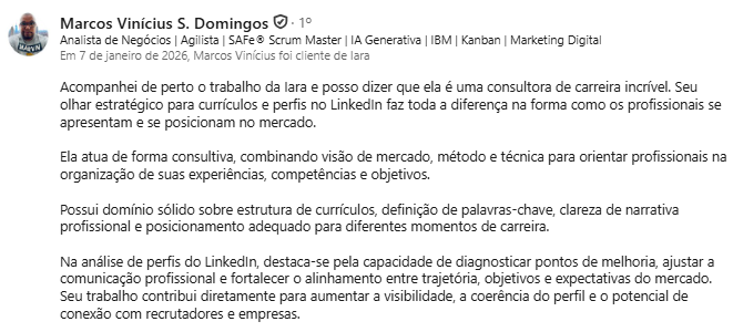 Depoimento de Marcos Vinícius S. Domingos sobre a consultoria